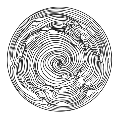 Wood Spiral Drawing Outline Sketch Vector Water Ripple Drawing Water