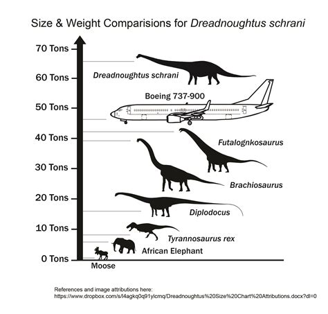 Largest Animals Ever Chart