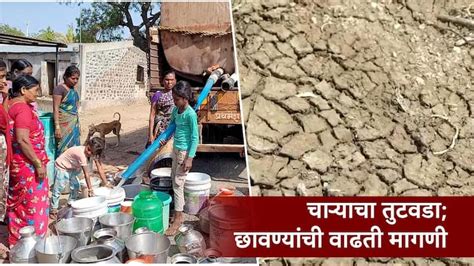 Sangli Jat Taluka Due To Shortage Of Fodder In Sangli Jat The Demand