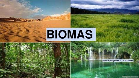 Biomas acuáticos Biomas Bioma Ecología