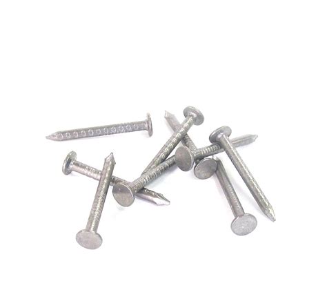 Shop Joist Hanger Nails Hot Dip Galvanized N Lb Box C At