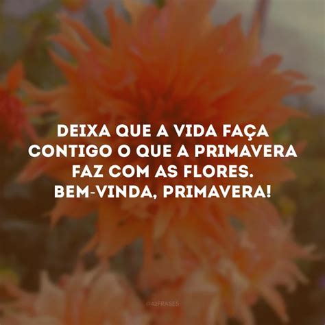 Frases De Bem Vinda Primavera Para Se Renovar Como As Flores