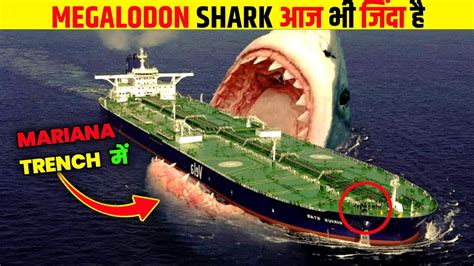 Megalodon Shark आज भी जिंदा है With Proof Megalodon Shark Still Alive Youtube