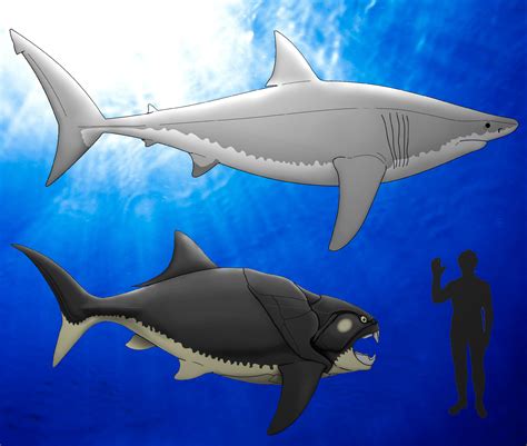 Earth’s First Vertebrate Superpredator Was Shorter and Stouter than ...