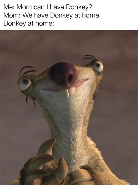 Funny Donkey Shrek