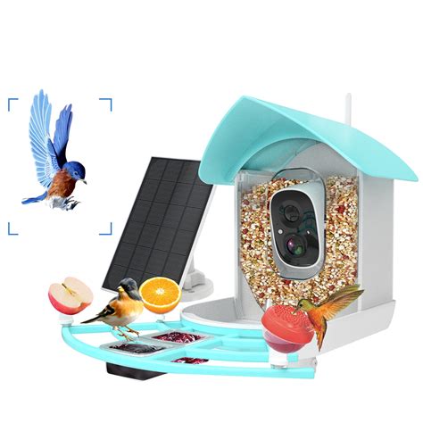 Owsoo Smart Bird Feeder With Camera High Resolution Pir Motion