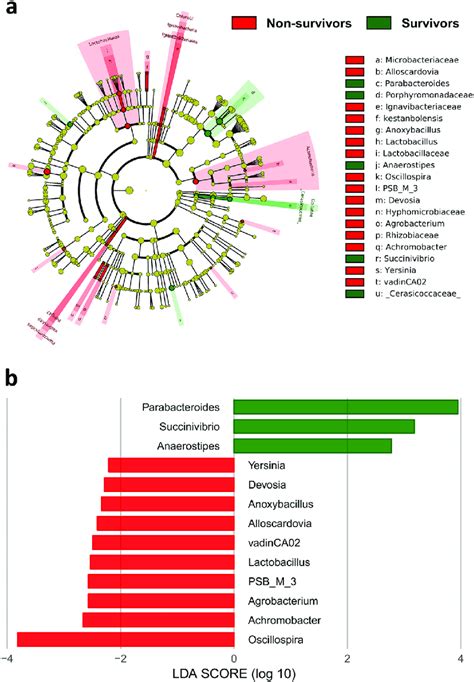 Cladogram Showing Differentially Abundant Taxa Of The Gut Microbiota A