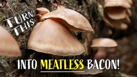 How To Make Vegan Oyster Mushroom Bacon Youtube