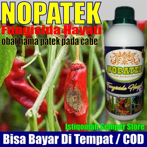 Jual NOPATEK Fungisida Hayati Obat Hama Patek Pada Cabai Cabe Merah