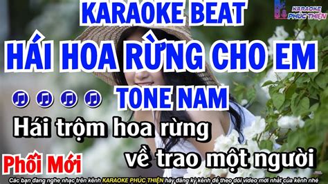 KARAOKE Hái Hoa Rừng Cho Em Tone Nam Nhạc Sống Bản Phối Mới Cực Hay