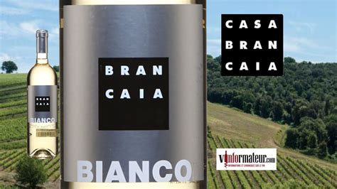 Brancaia Il Bianco Sauvignon 2022 Vinformateur