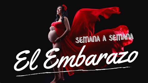 Cuantas Semanas De Embarazo Tengo🤰🏻todo Lo Que Sucede Desde La