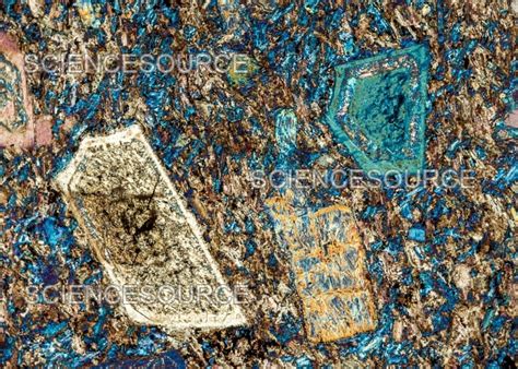 latite andesite plm stock image science source images