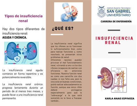 Triptico Triplico Sobre Insuficiencia Renal La Insuficiencia Renal