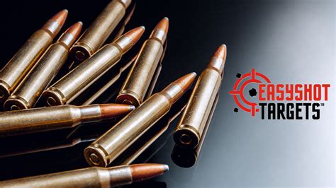 Understanding the Main Bullet Types: A Guide for Beginners | Gun ...