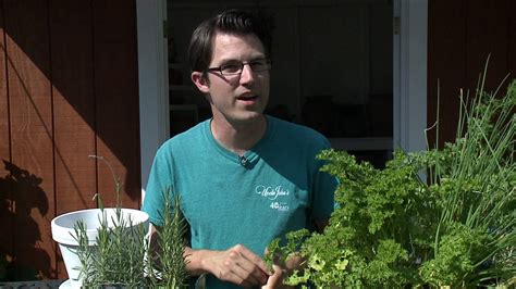 New Day Cleveland Growing Veggies And Herbs In Pots Uncle Johns