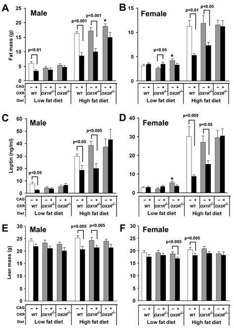 Fat Mass Serum Leptin Levels And Lean Mass Of Orexin Download