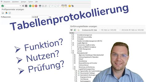 Tabellenprotokollierung in SAP Funktion Nutzen Prüfung Alles