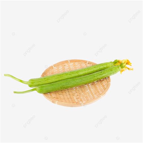 Green Vegetable Loofah Fresh Green Organic Vegetables PNG