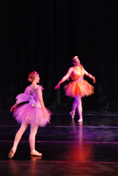 Ballet: Cinderella Fairies | Rebecca Wendlandt