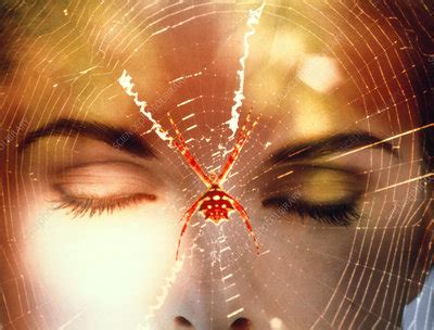 Arachnophobia A Woman S Fear Of Spiders Stock Image M