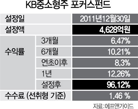 펀드줌인 Kb중소형주 포커스 증권자 투자신탁 서울경제