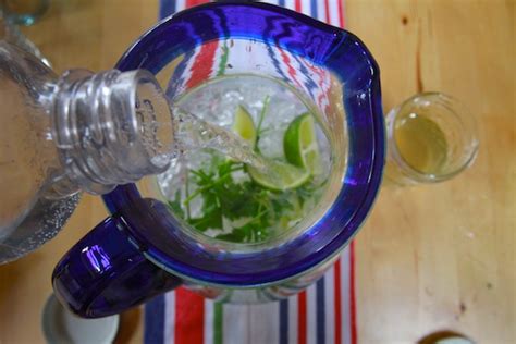 Cilantro Limeade Shutterbean