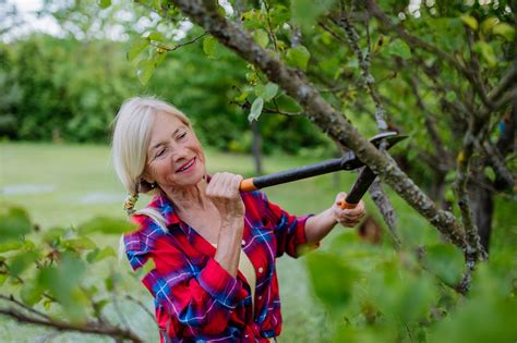 Guide Pour Réussir La Plantation Dun Arbre Fruitier Exemples Et