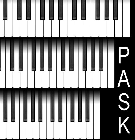 Three keyboard sizes installed in Pianodrome! - PIANISTS FOR ...