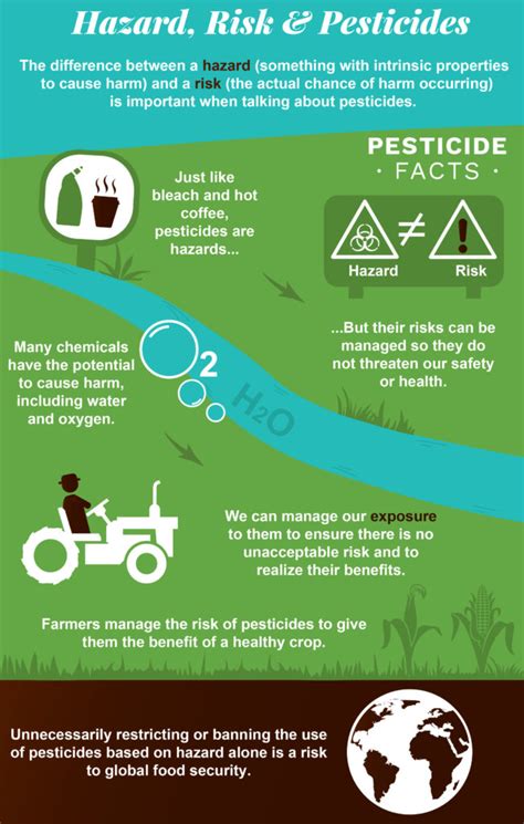 Infographic 8 Hazard Risk And Pesticides Pesticide Facts