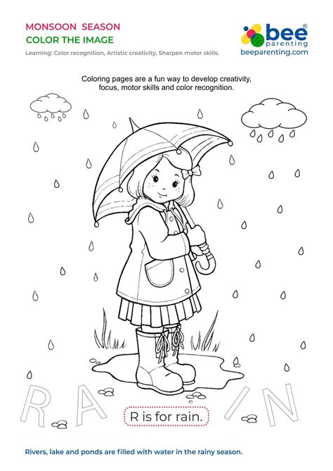 color  image seasons worksheets  day  school activities