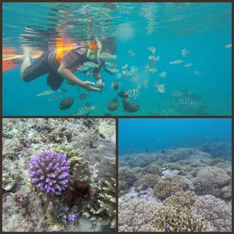 Blue Lagoon And Tanjung Jepun Snorkeling In Padang Bai Bali