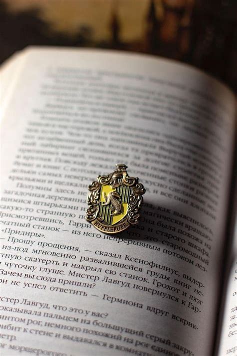 Pin De Megan Zeyan En Guardado R Pido Casas De Hogwarts Mascotas