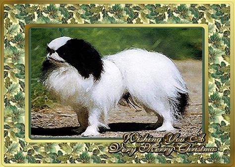 Japanese Chin Dog Christmas Painting By Olde Time Mercantile Fine Art