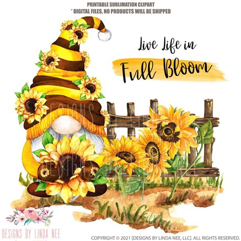 Sunflower Gnome Clipart Summer Gnome PNG Digital Graphics Etsy