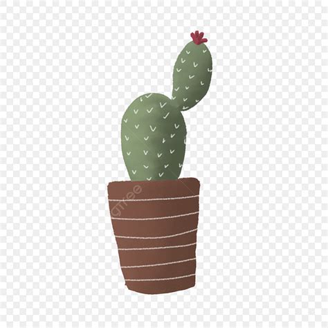 Beautiful Cactus Png Picture Beautiful Watercolor Cactus Plant