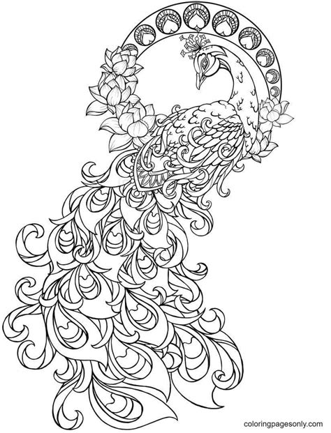 50 Peacock Coloring Pages