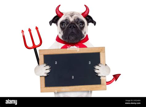 Halloween Devil Dog Stock Photo Alamy