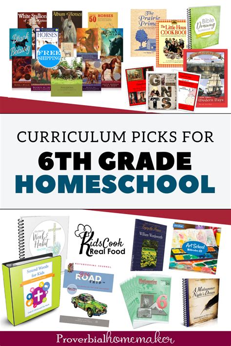 Our 6th Grade Homeschool Curriculum Choices - Proverbial Homemaker