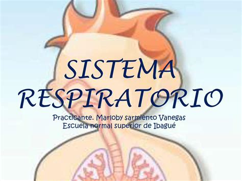 PDF Sistema Respiratorio DOKUMEN TIPS