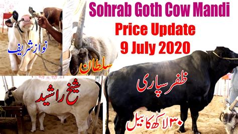 Cow Mandi Karachi Cattle Farm Prices Update 2020 Karachi Cow Mandi