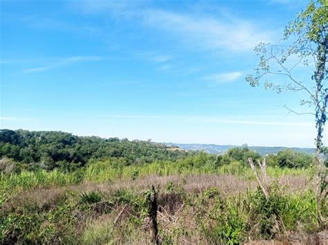 Rea De Terra De Ha Em Seberi Rs Imobili Ria Im Veis Rurais E