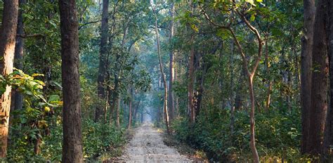 Bardia National Park | Nepal Luxury Travel | Remote Lands