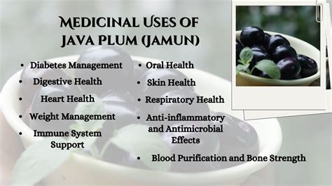 Health Benefits Of Java Plum Jamun An Amazing Powerhouse