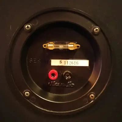 Polk Audio Monitor With Peerless Tweeter Reverb