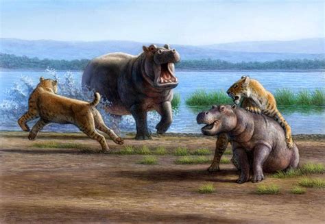 Fauna Of The Pleistocene By Mauricio Antón Prehistoric Wildlife