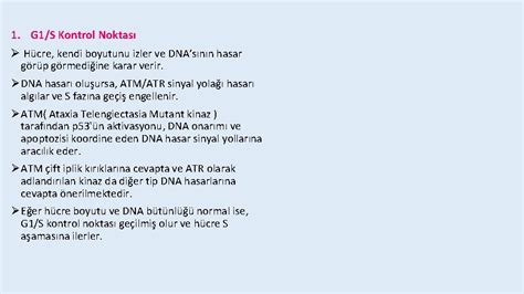 Kanser Hcrelerinin Zellikleri Sunum Plan 1 2 3