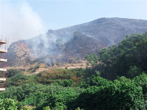 Messina Bruciano Il Torrente Trapani E Scoppo Vasto Incendio A Un