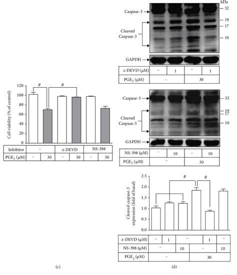 Figure 7 From Sphingosine 1 Phosphate Upregulated COX 2 PGE2 System