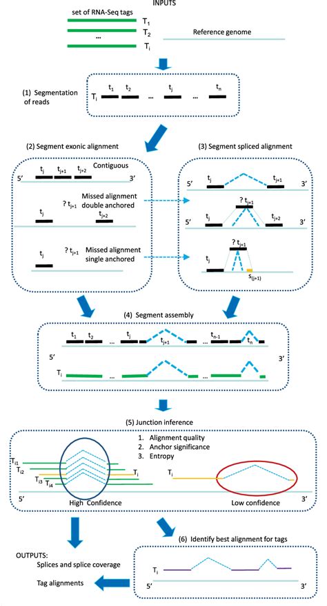 Figure 1 From Mapsplice Accurate Mapping Of Rna Seq Reads For Splice